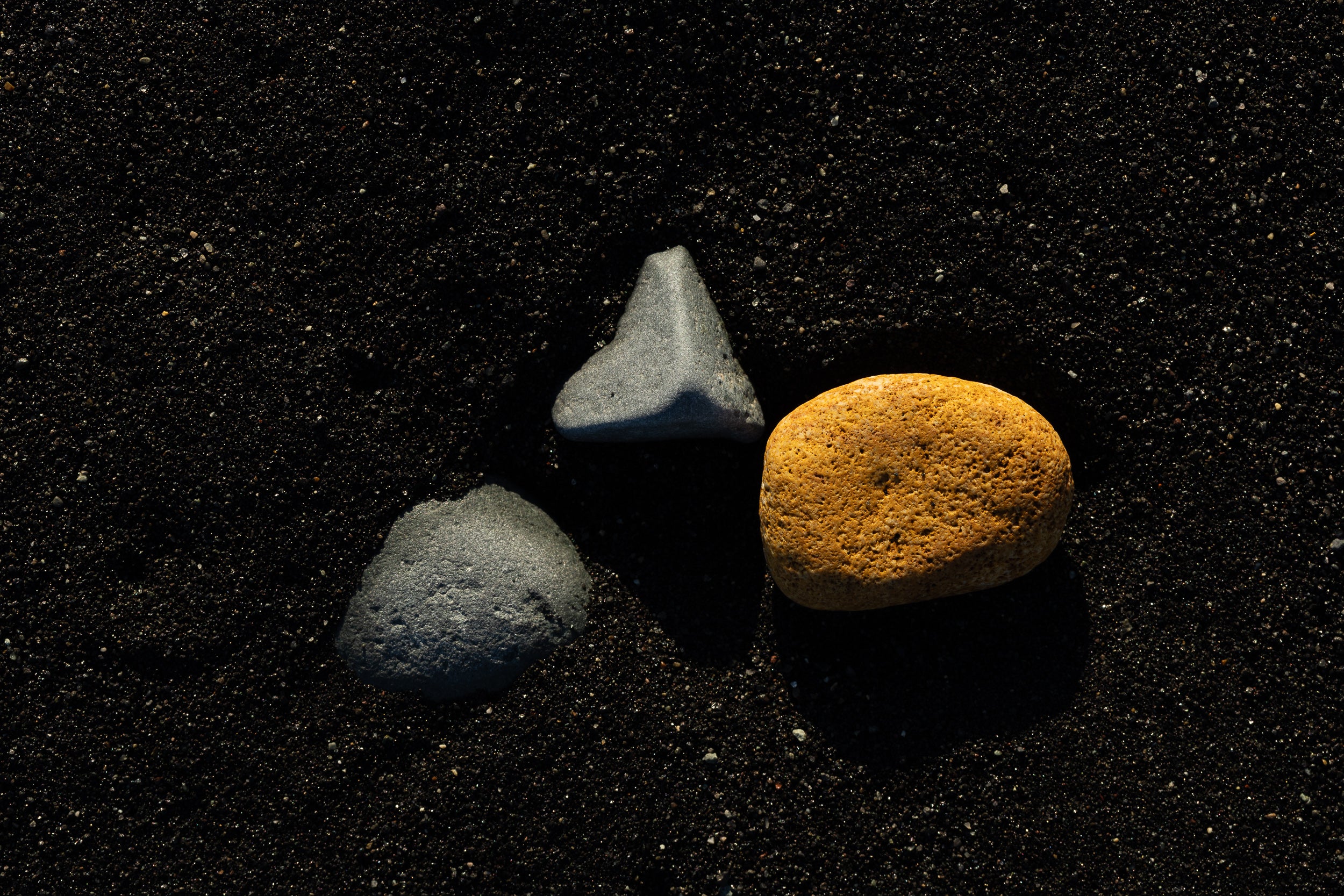 Copyright Opera Campi