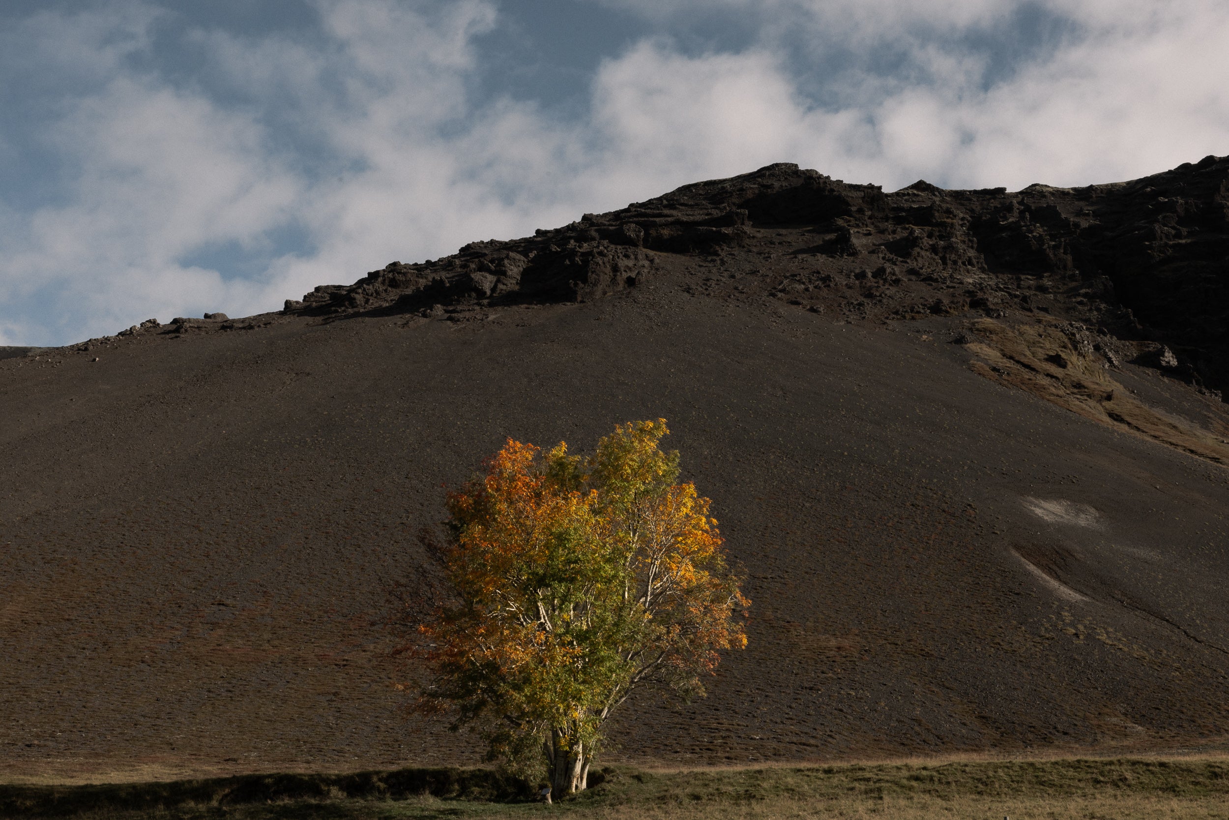 Copyright Opera Campi