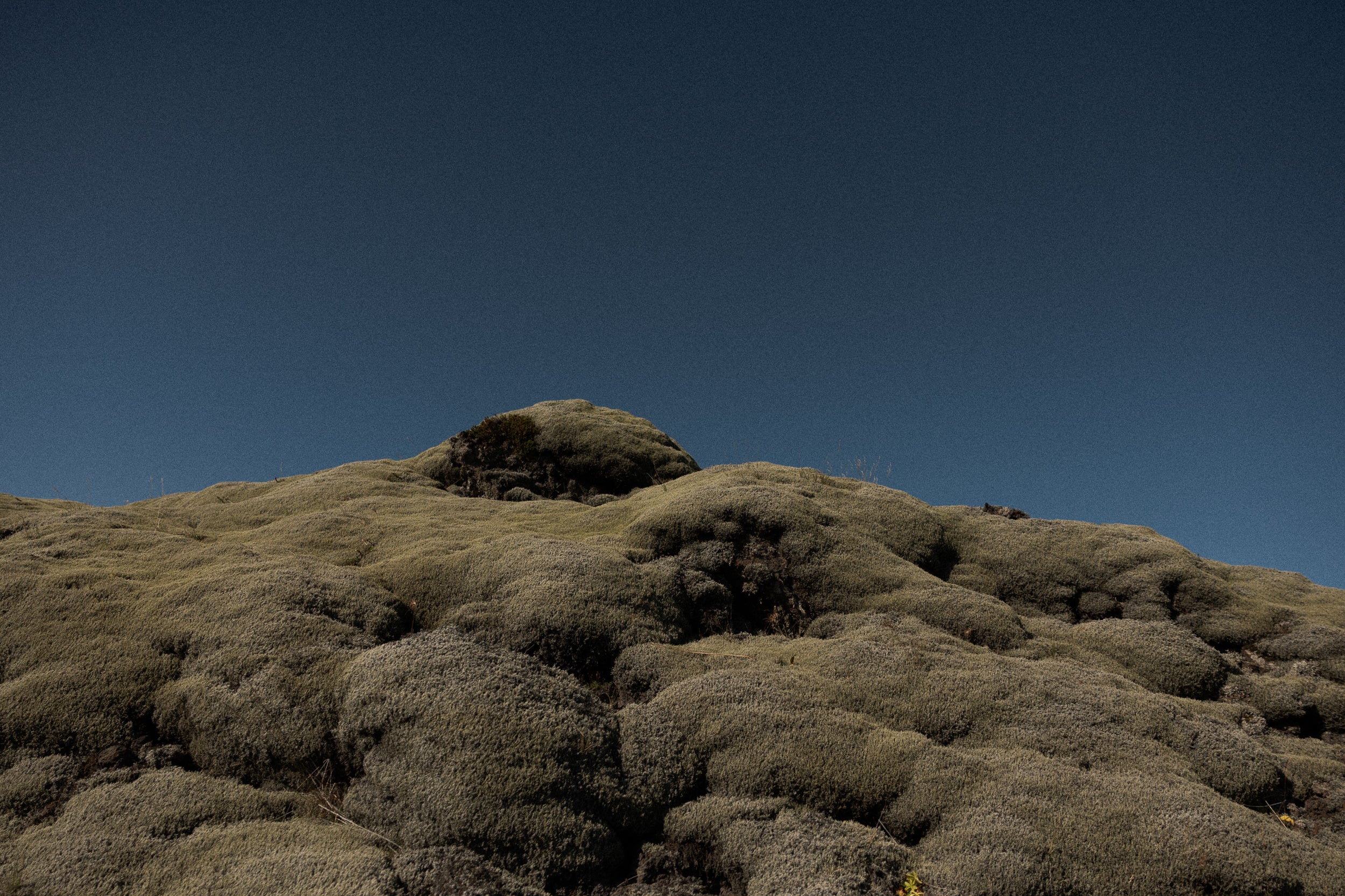 Copyright Opera Campi