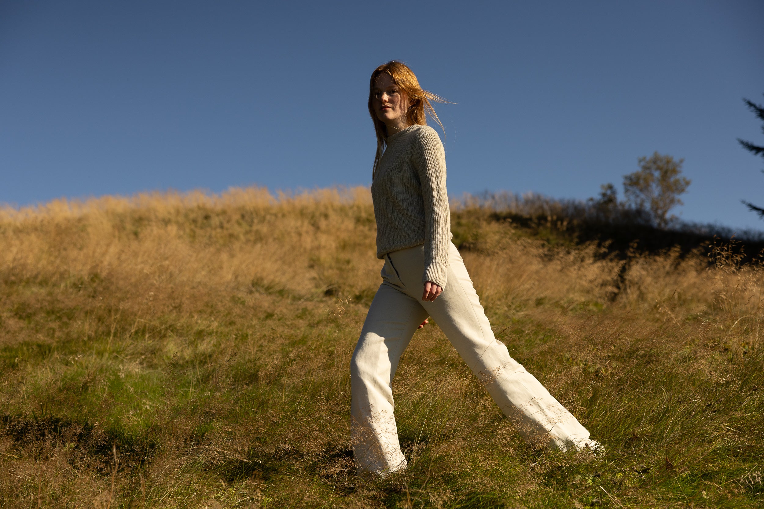 Copyright Opera Campi