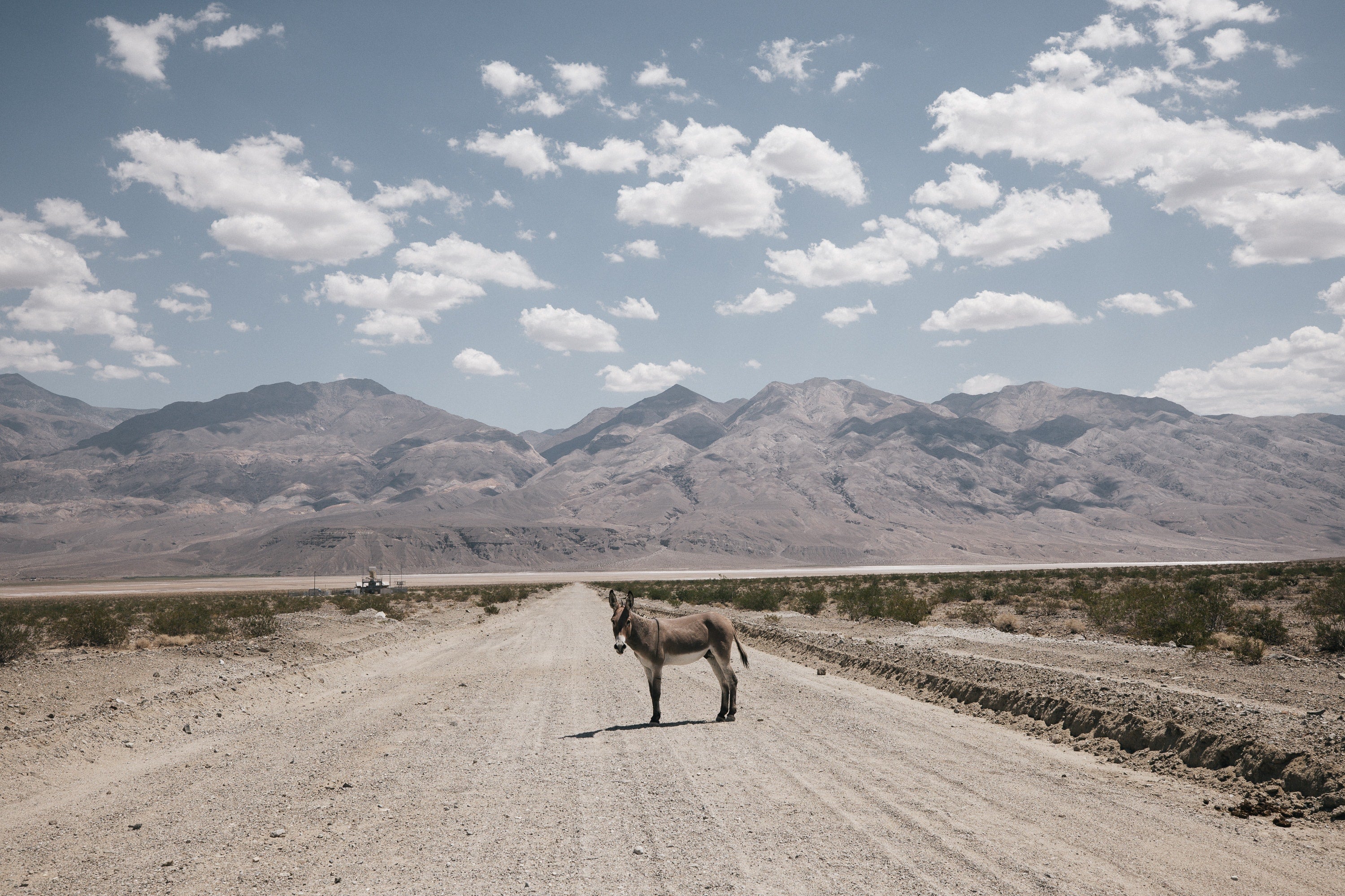 Death Valley Desert Copyright Opera Campi