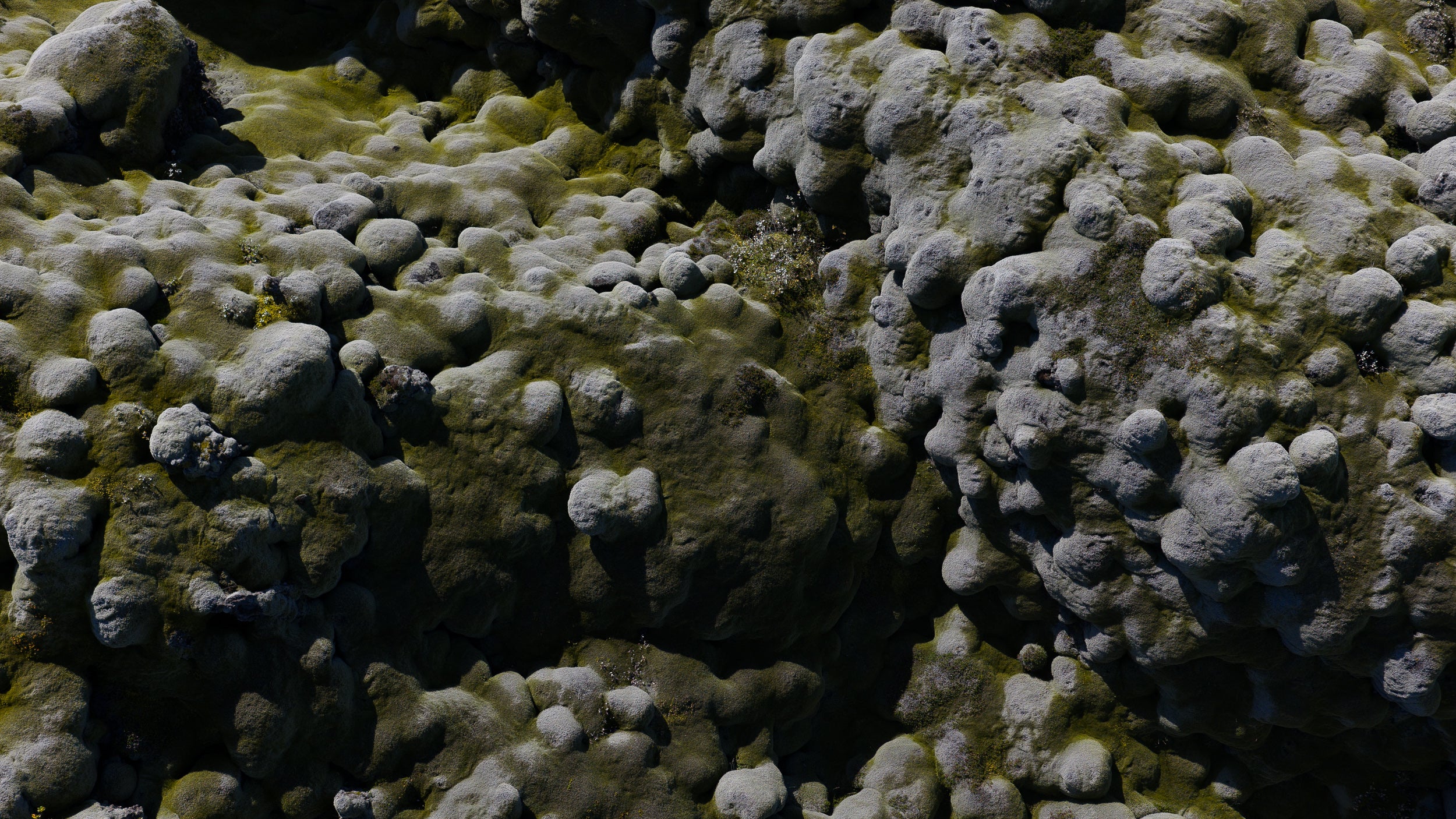 Copyright Opera Campi