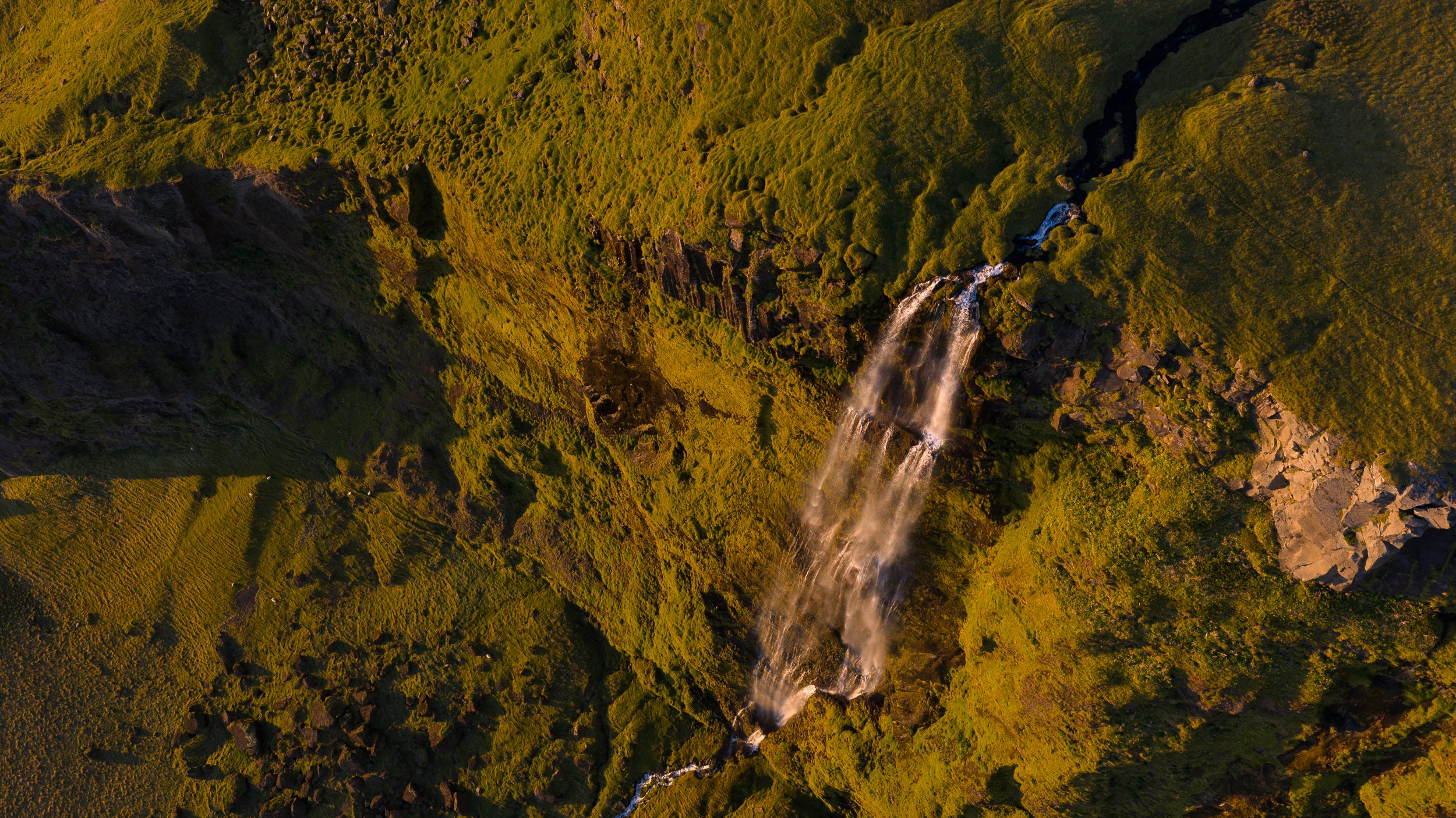 Copyright Opera Campi