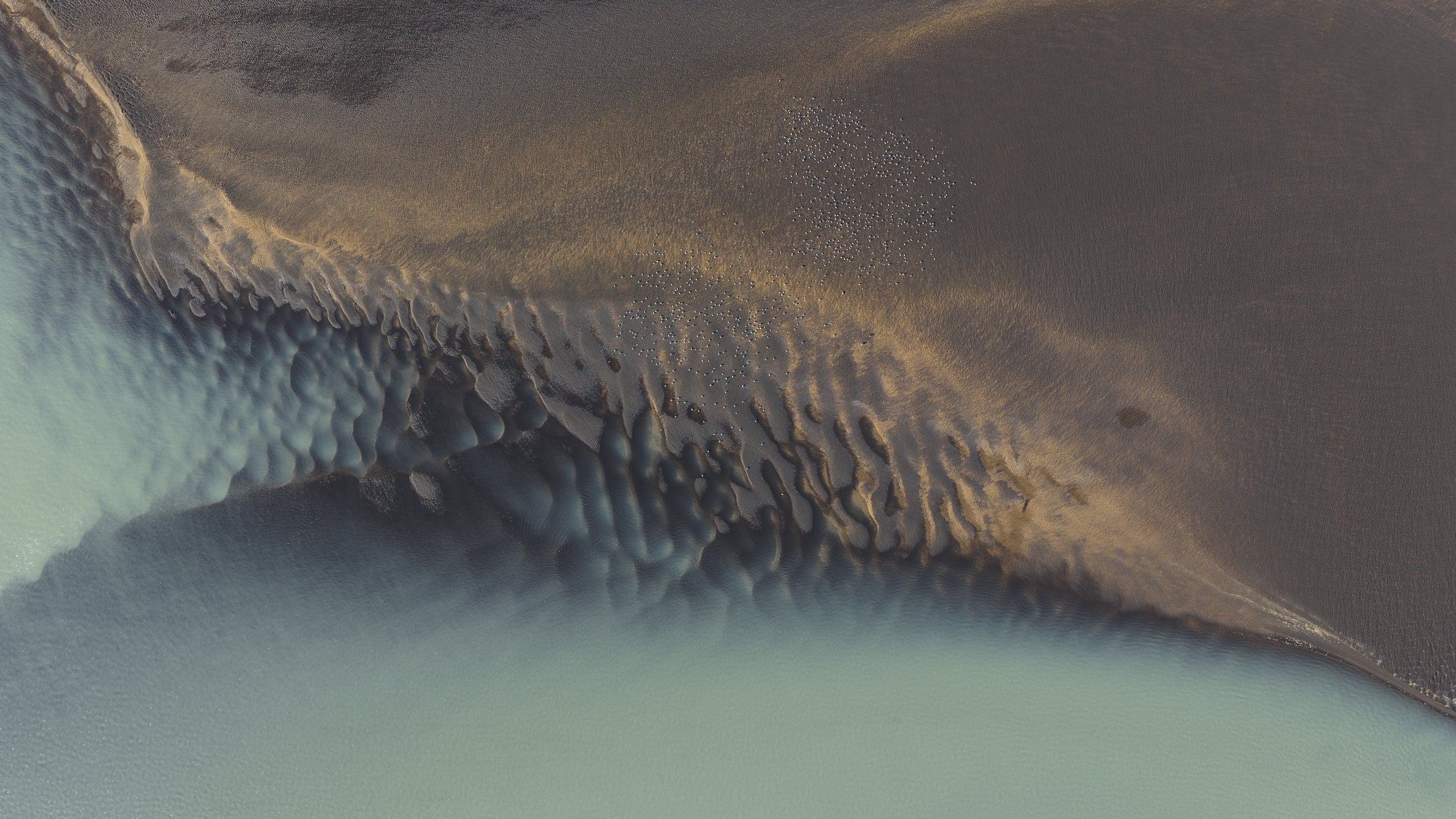 Copyright Opera Campi