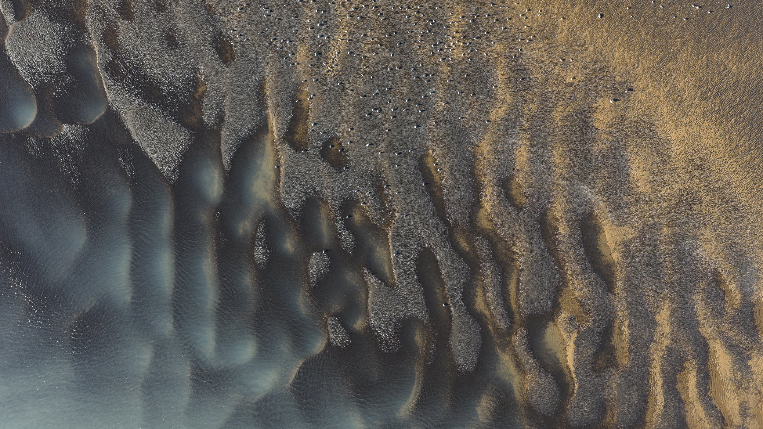 Copyright Opera Campi