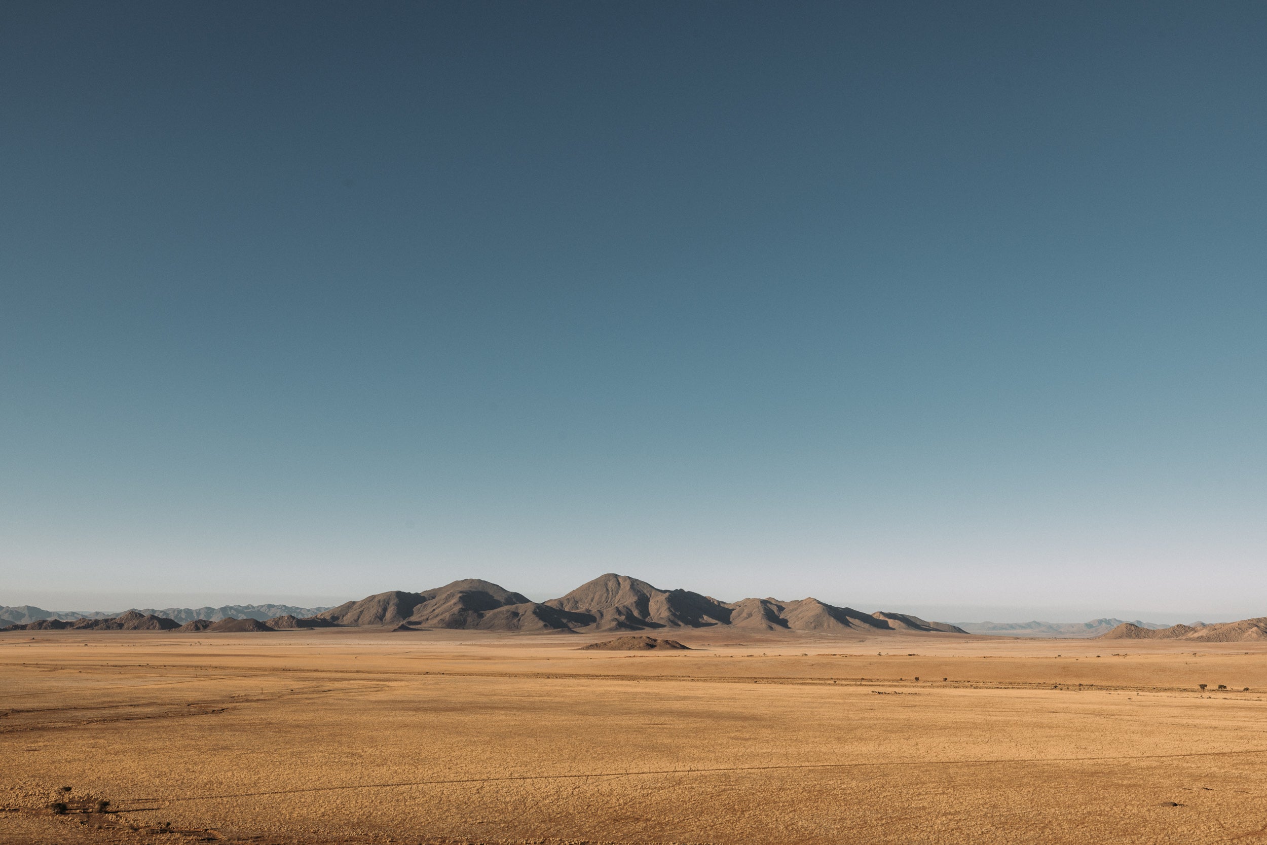   Copyright Opera Campi