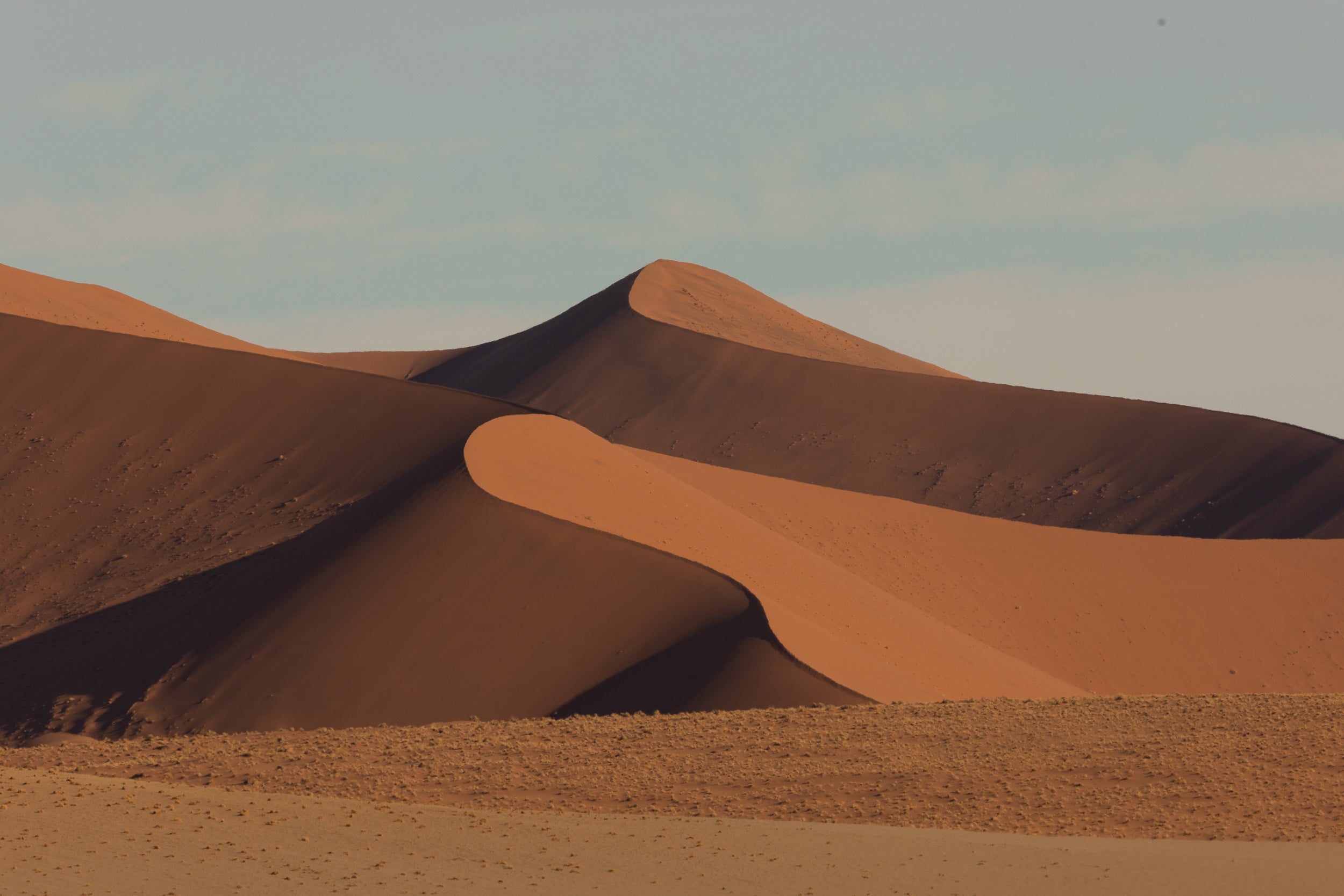   Copyright Opera Campi