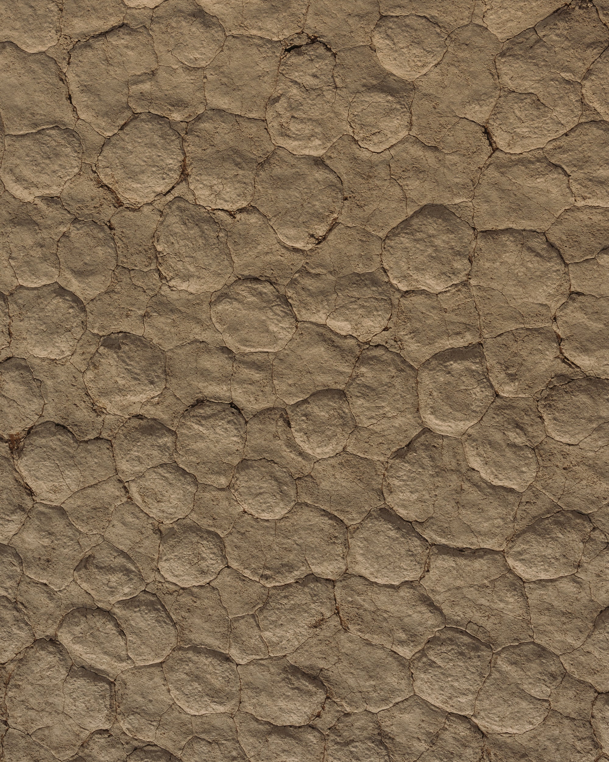   Copyright Opera Campi