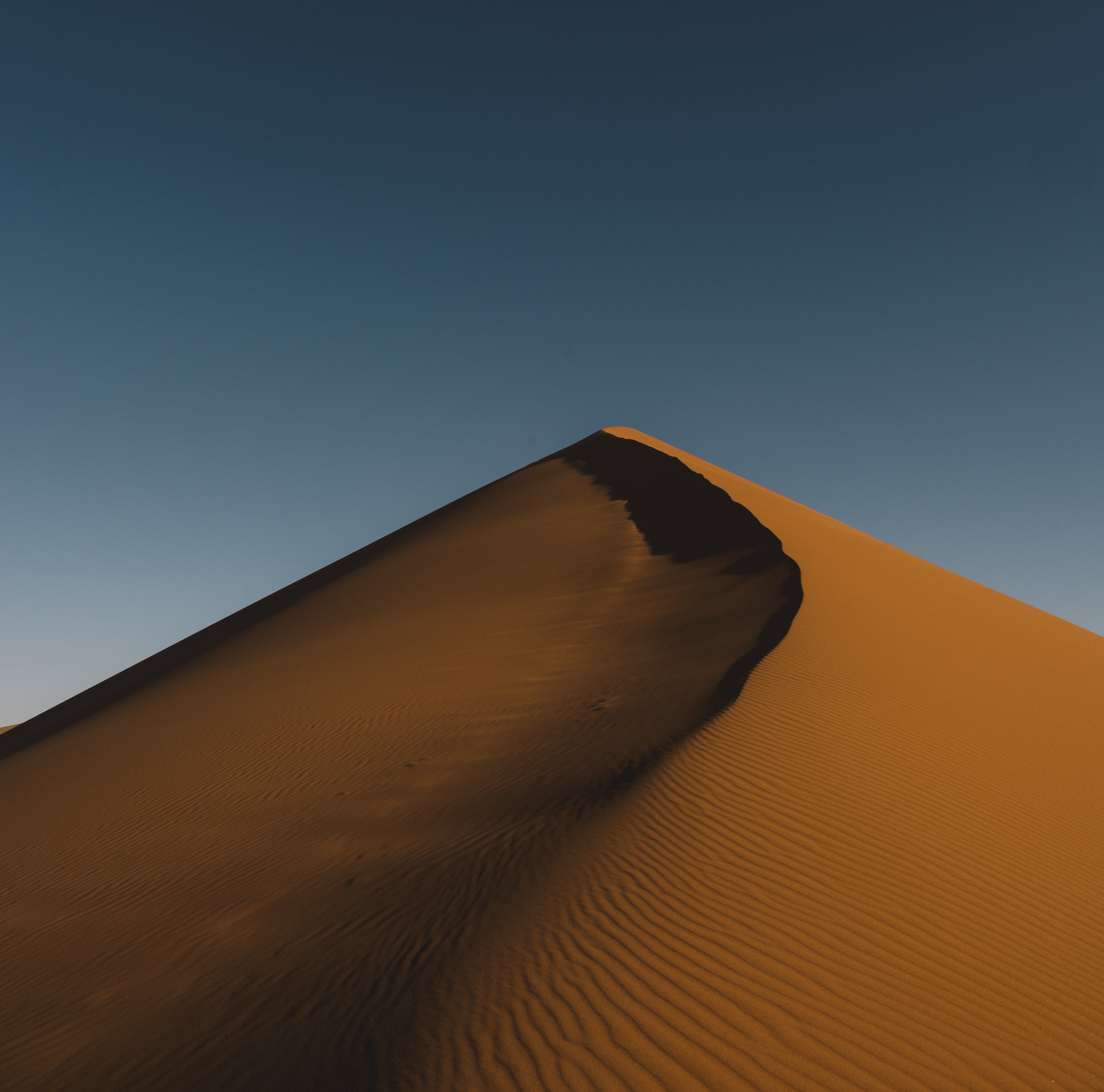  Sossusvlei Copyright Opera Campi