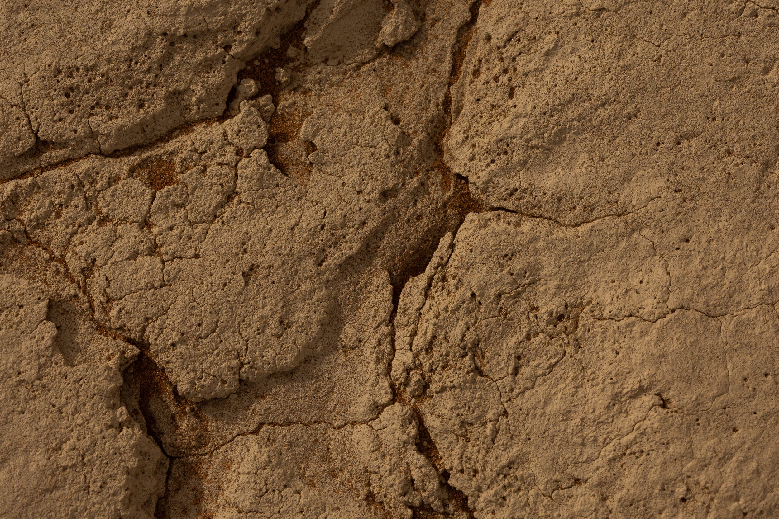   Copyright Opera Campi