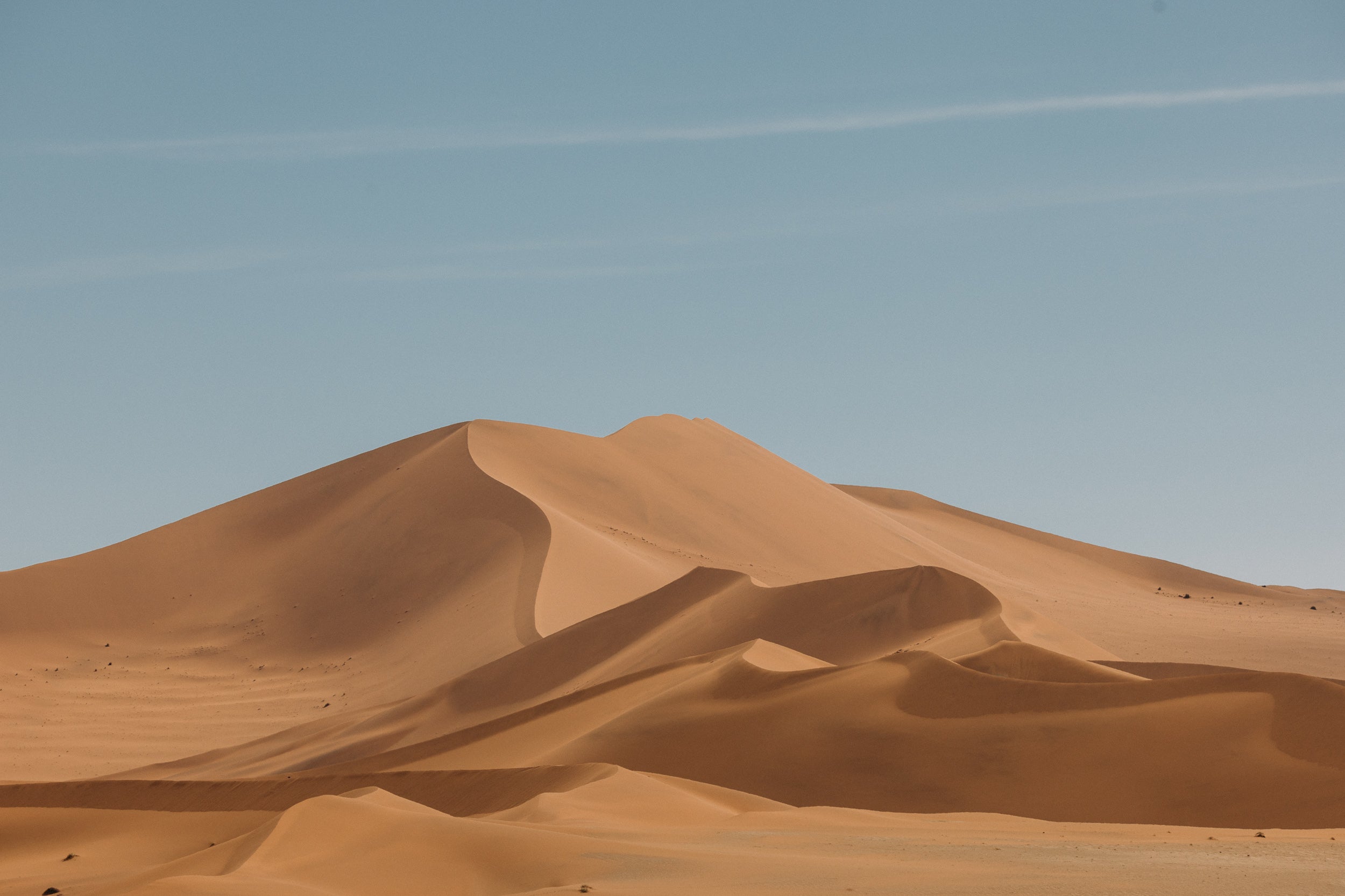   Copyright Opera Campi