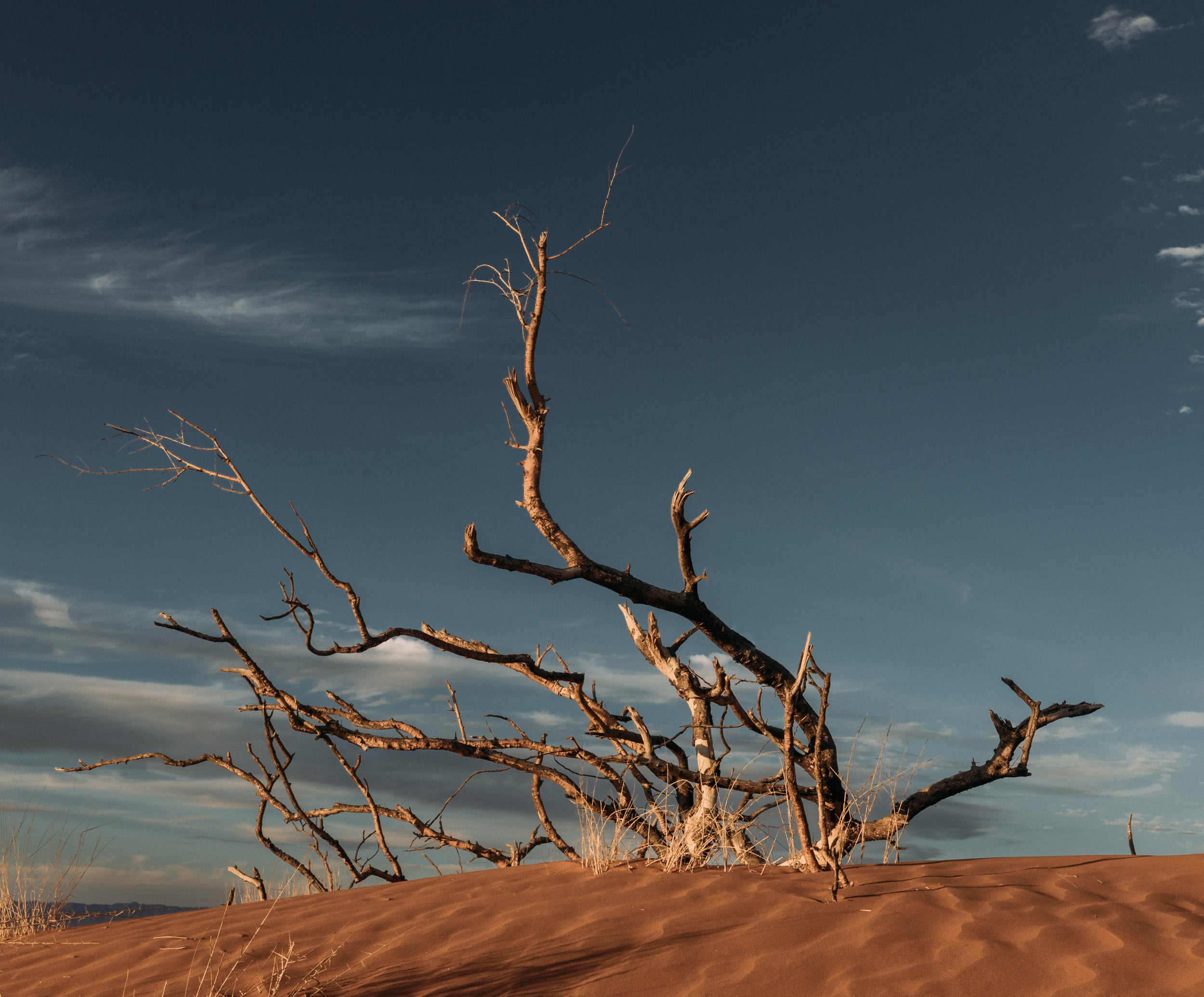   Copyright Opera Campi