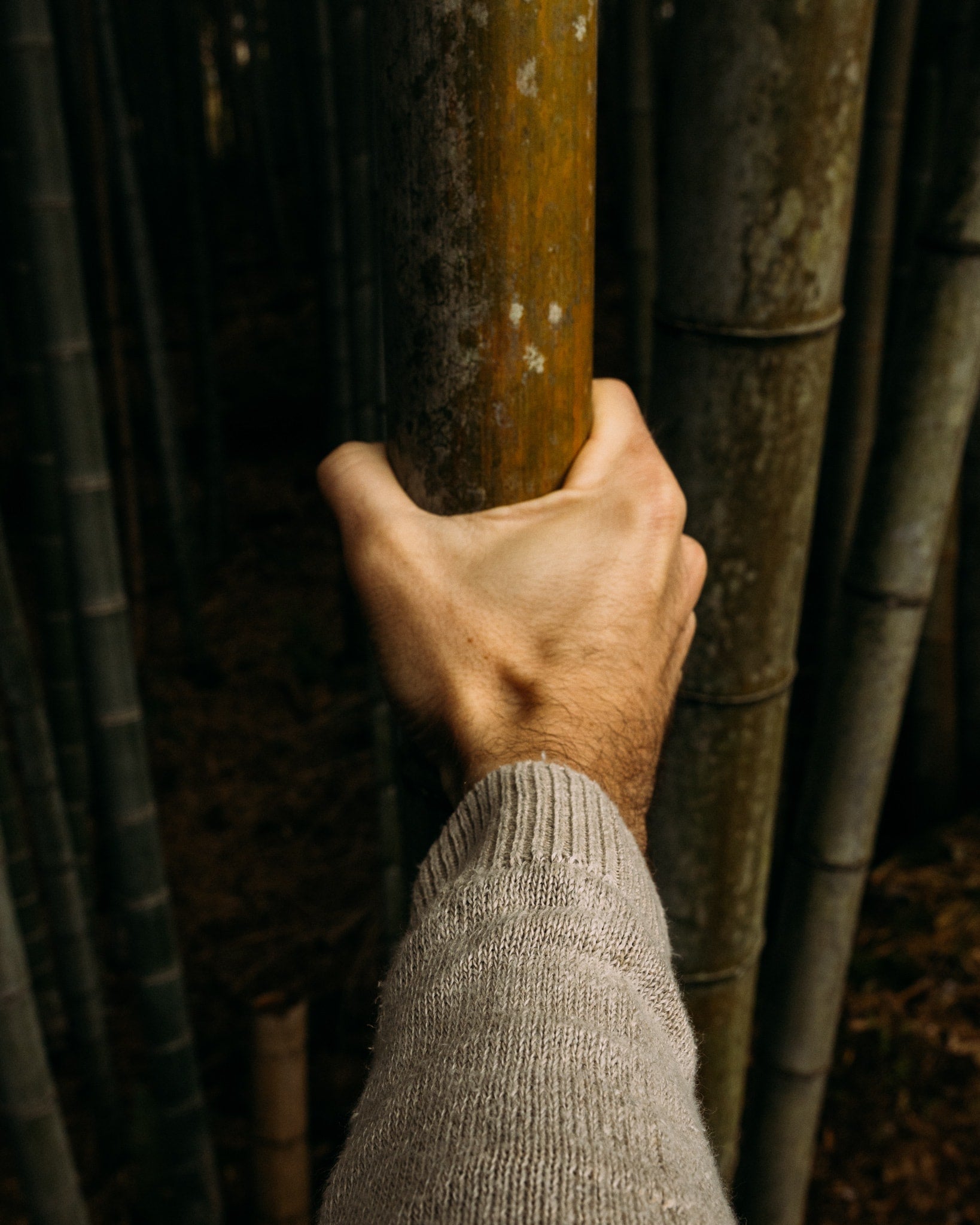   Copyright Opera Campi