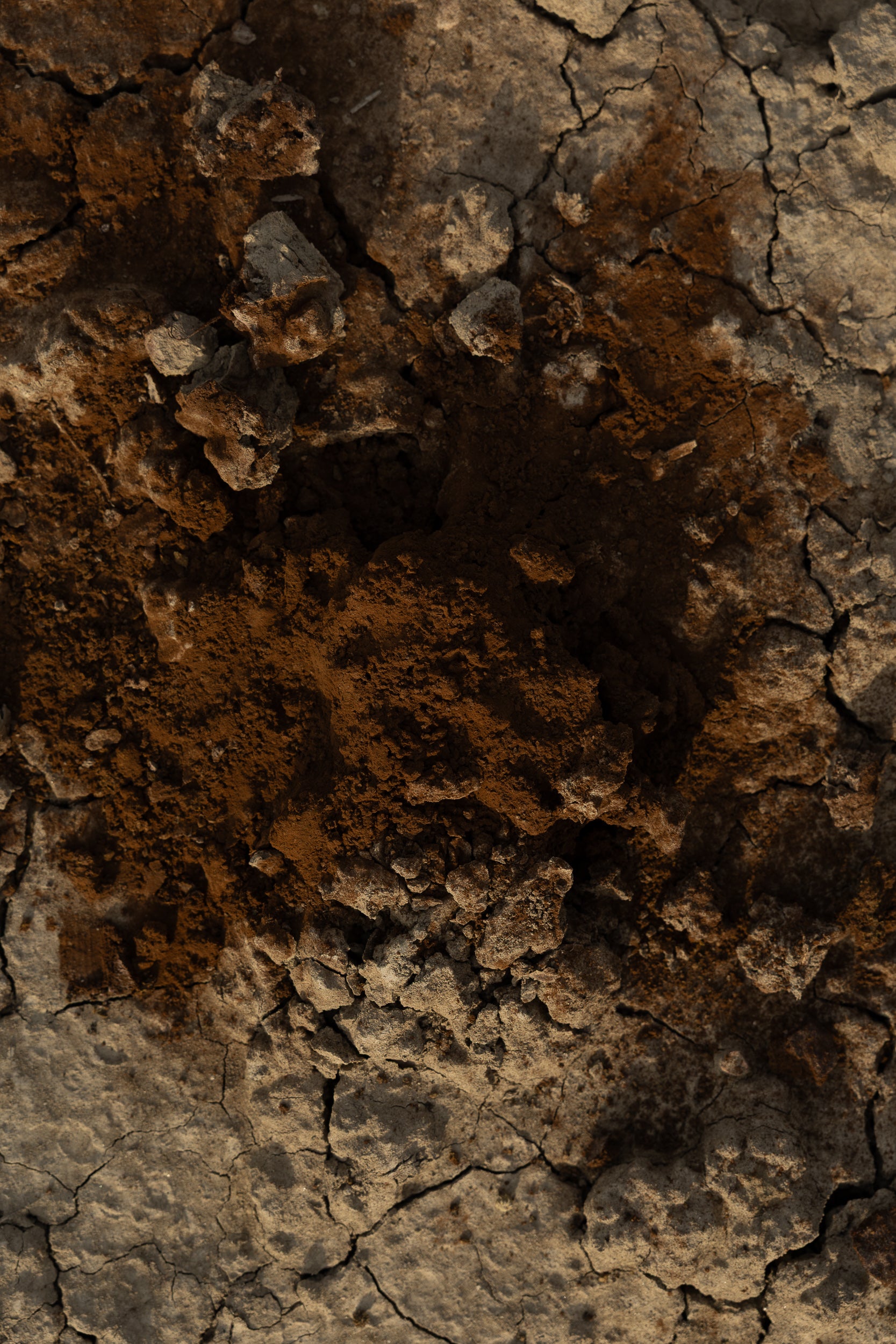   Copyright Opera Campi