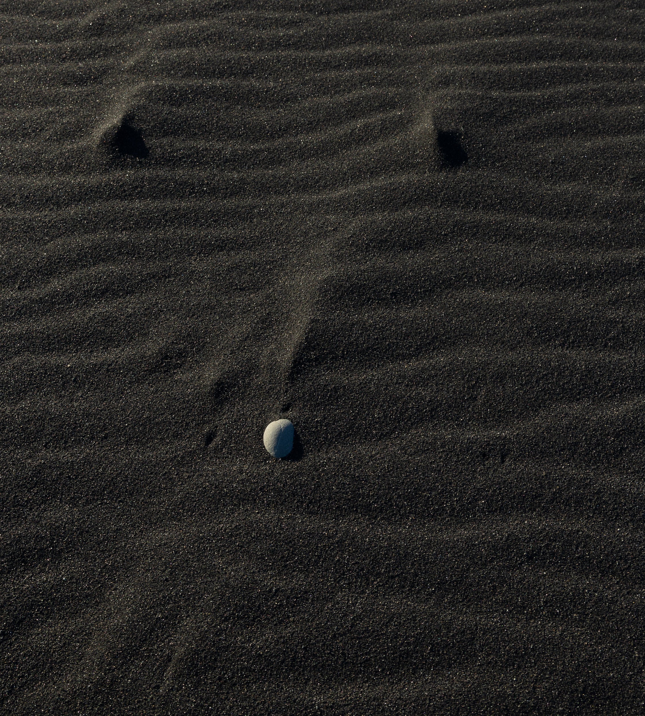   Copyright Opera Campi