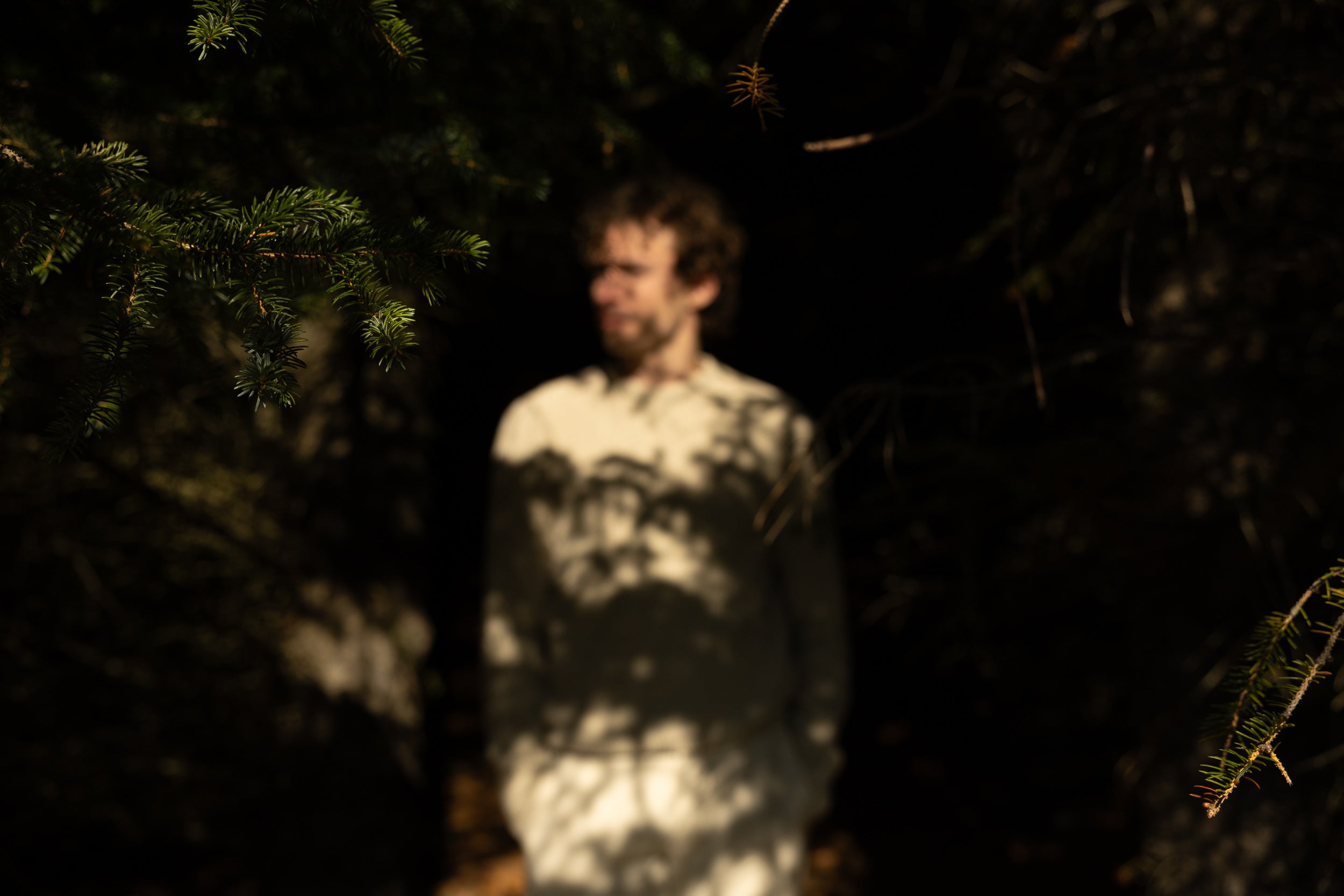   Copyright Opera Campi