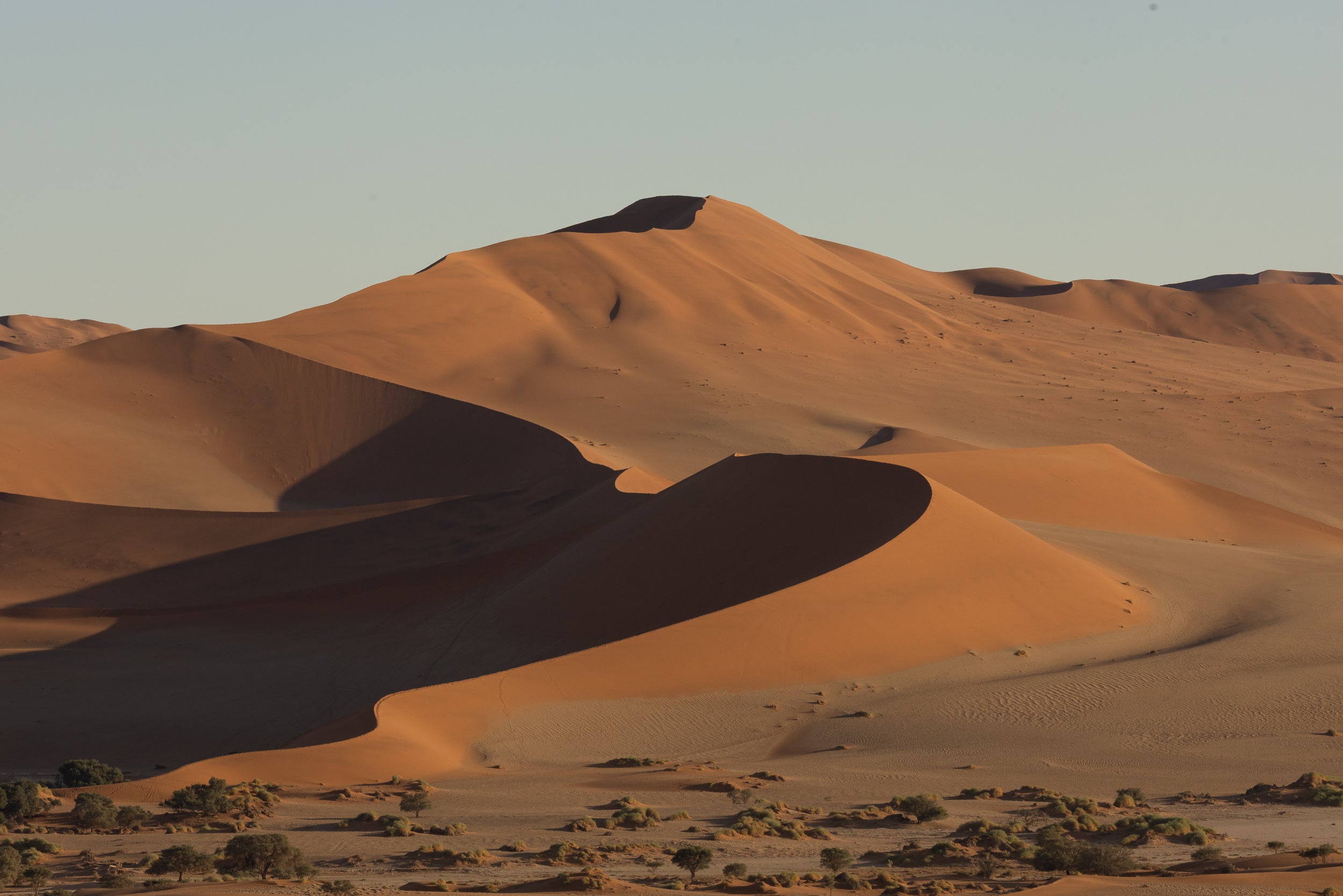   Copyright Opera Campi