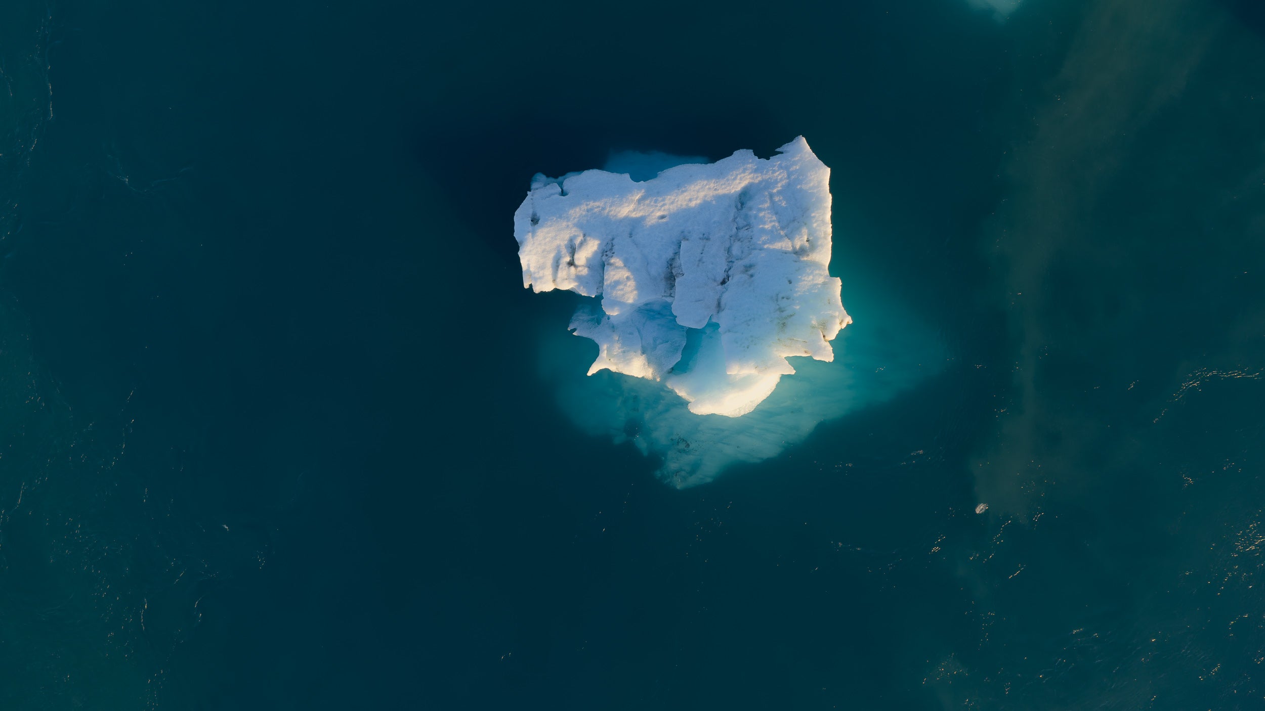   Copyright Opera Campi