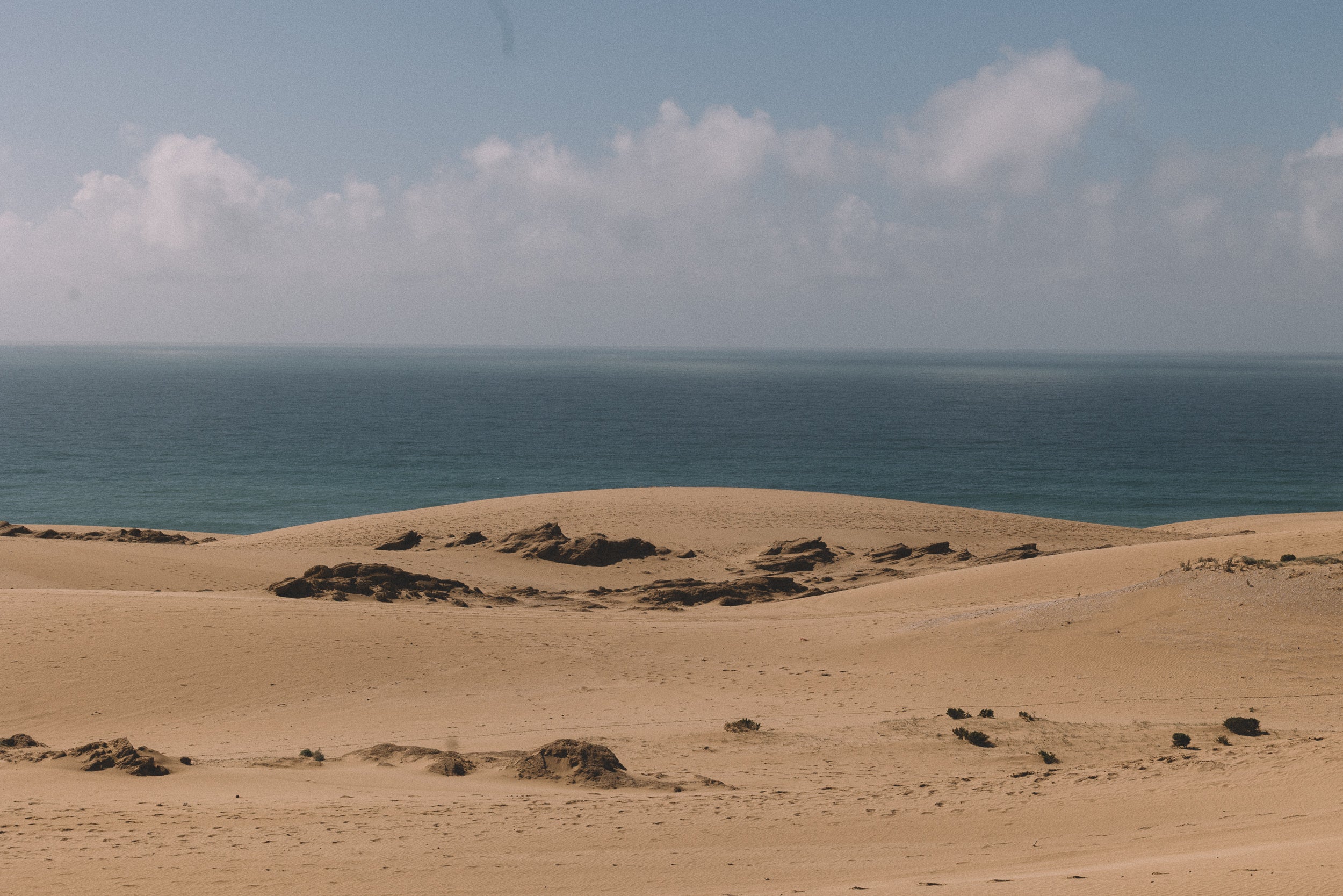   Copyright Opera Campi